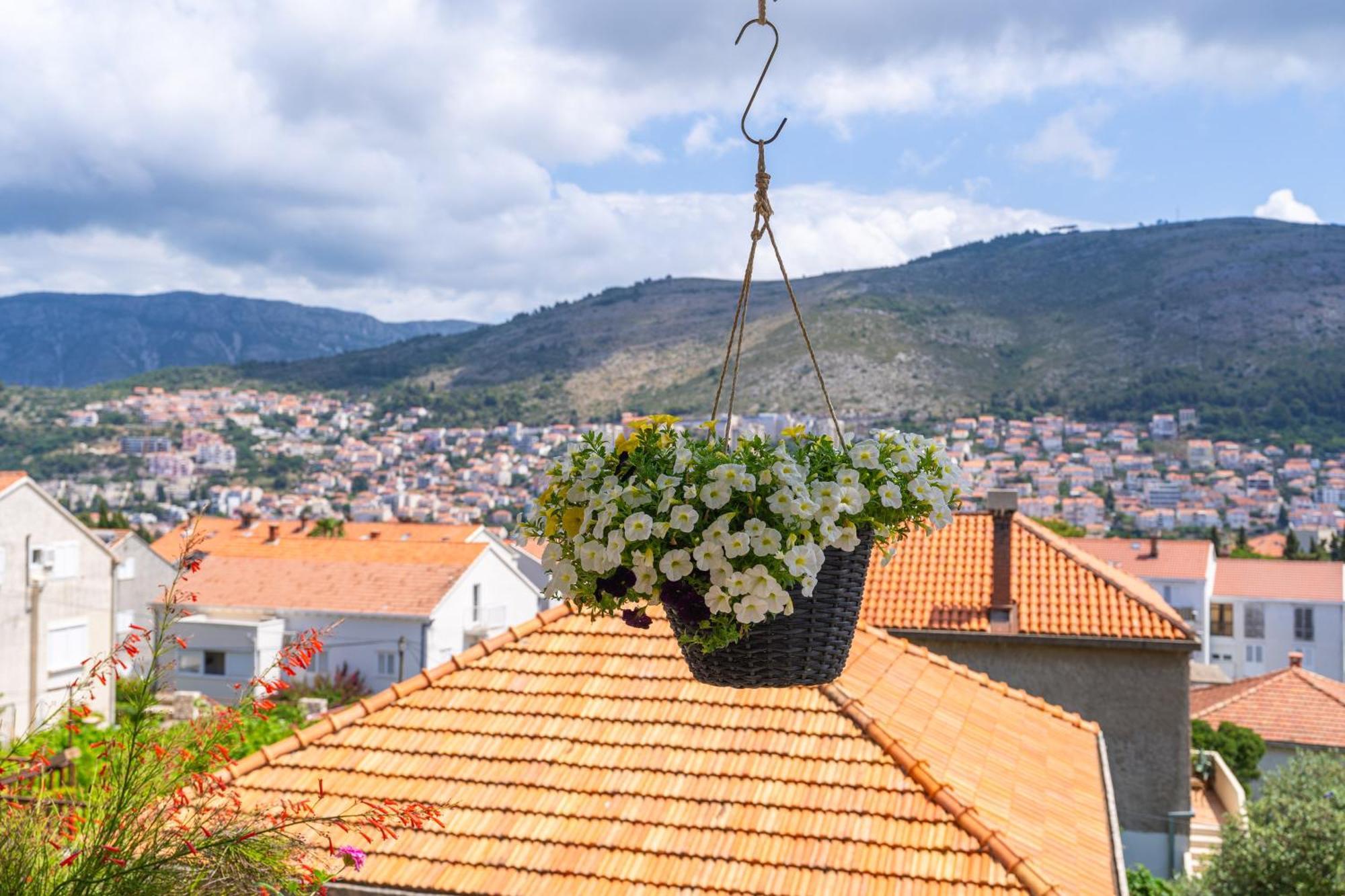 Apartments Lile Dubrovnik Eksteriør billede